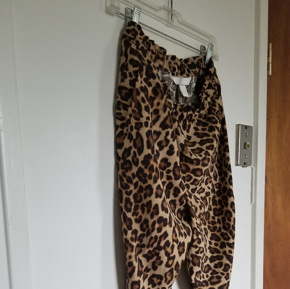 Pant - Picture 5 of 7